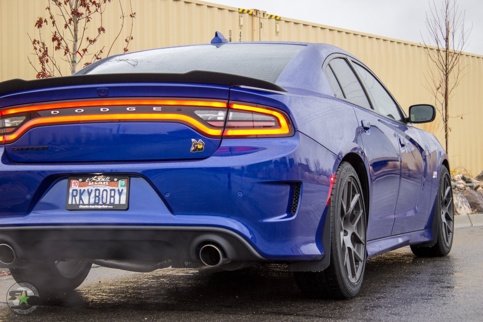 Dodge Charger(LD) 2011-2020 Splash Guards