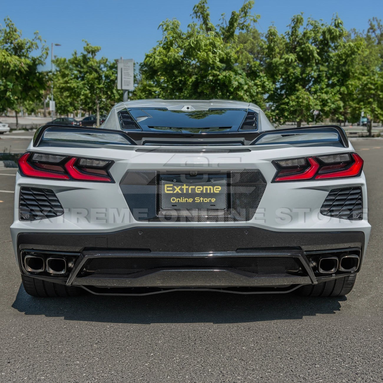 Corvette C8 DRY CARBON FIBER License Plate Backing