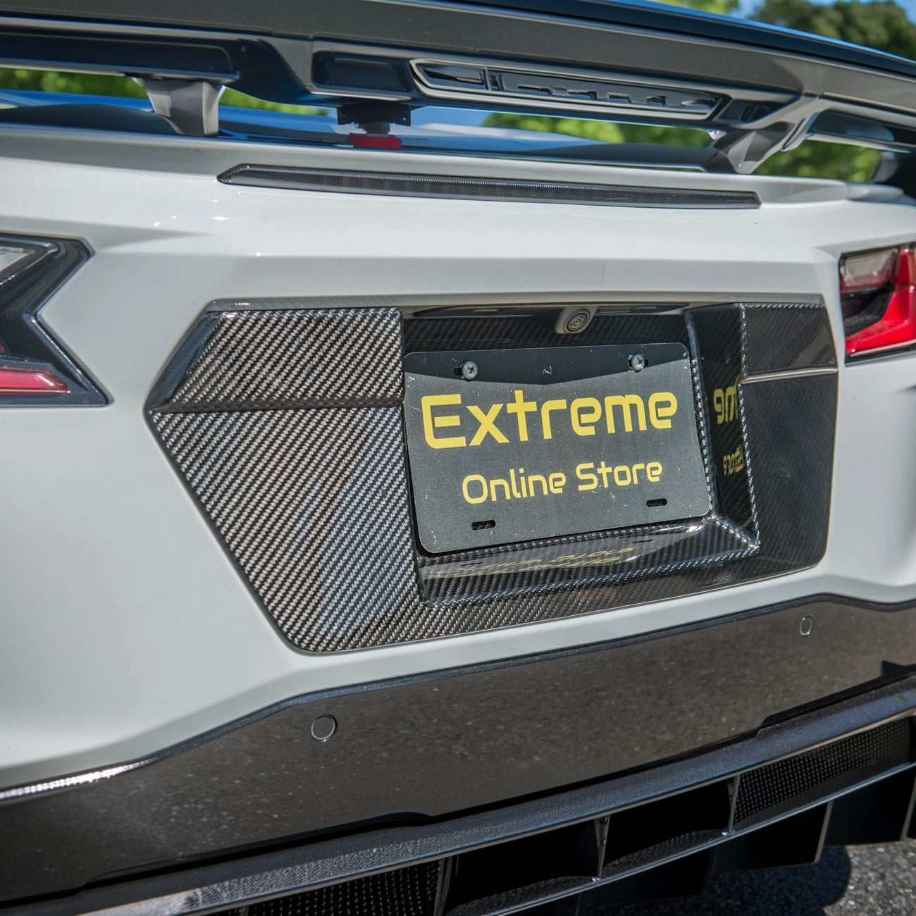 Corvette C8 DRY CARBON FIBER License Plate Backing