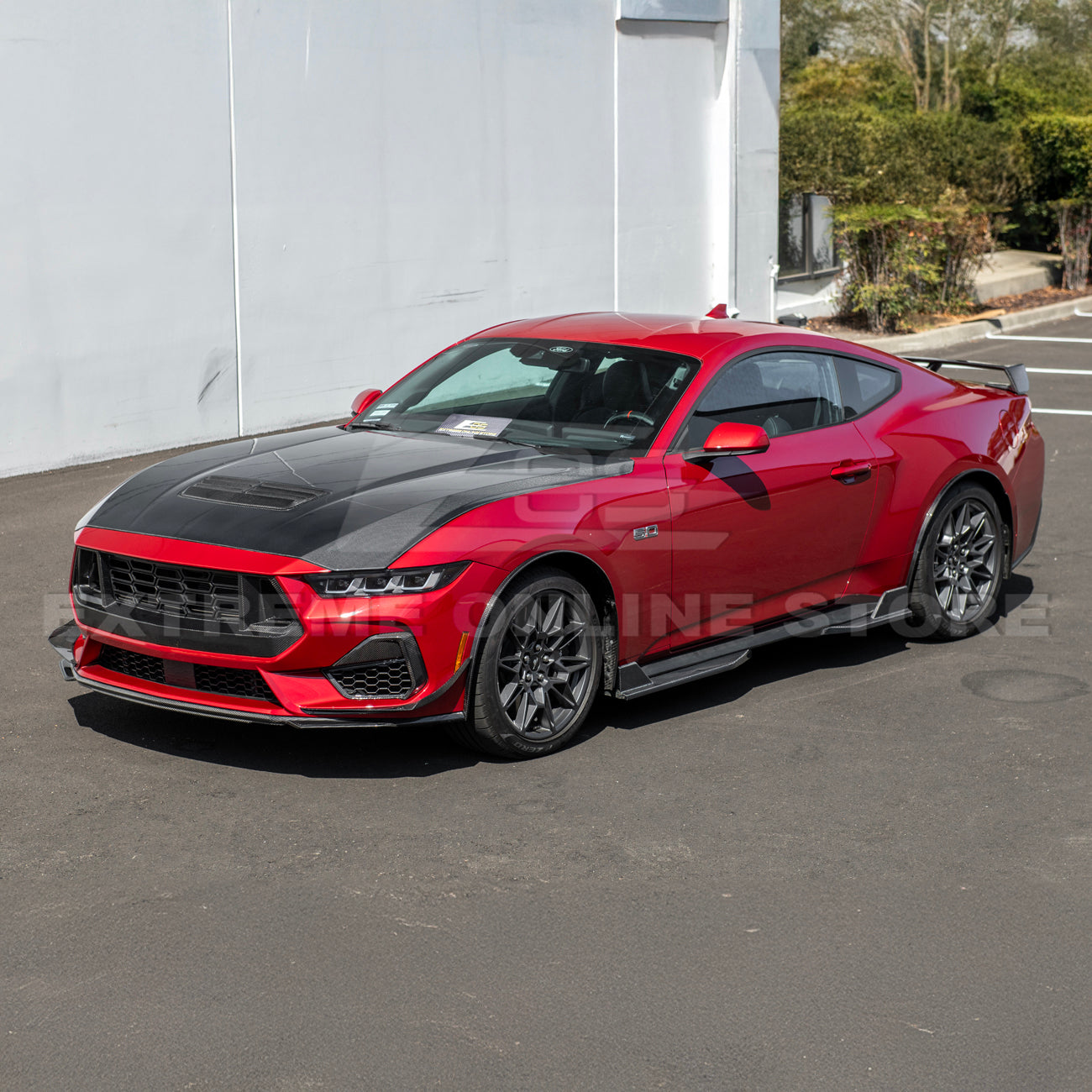 2024+ Ford Mustang DRY CARBON FIBER Fender Flares & Mud Flap
