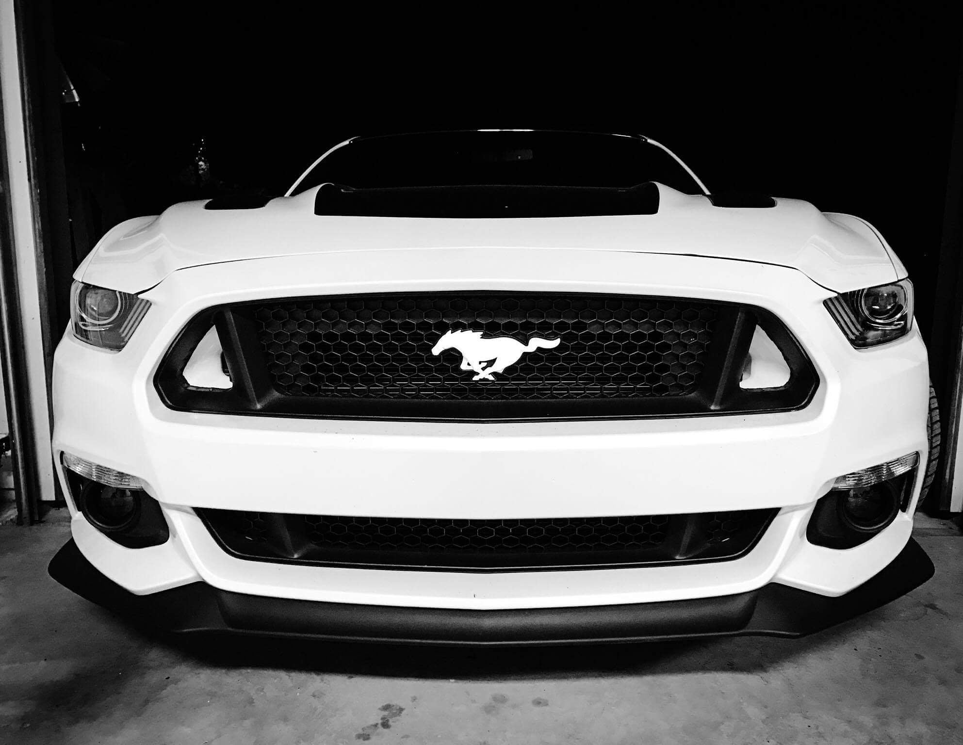 2015-2017 Ford Mustang S550 BIG MOUTH Ram Air Intake Snorkel-Ram Air Intake-Grocery Getter Performance