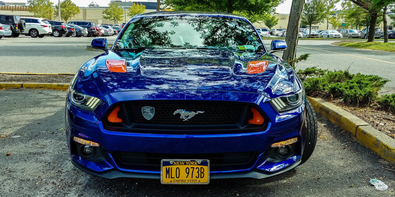 2015-2017 Ford Mustang S550 BIG MOUTH Ram Air Intake Snorkel-Ram Air Intake-Grocery Getter Performance