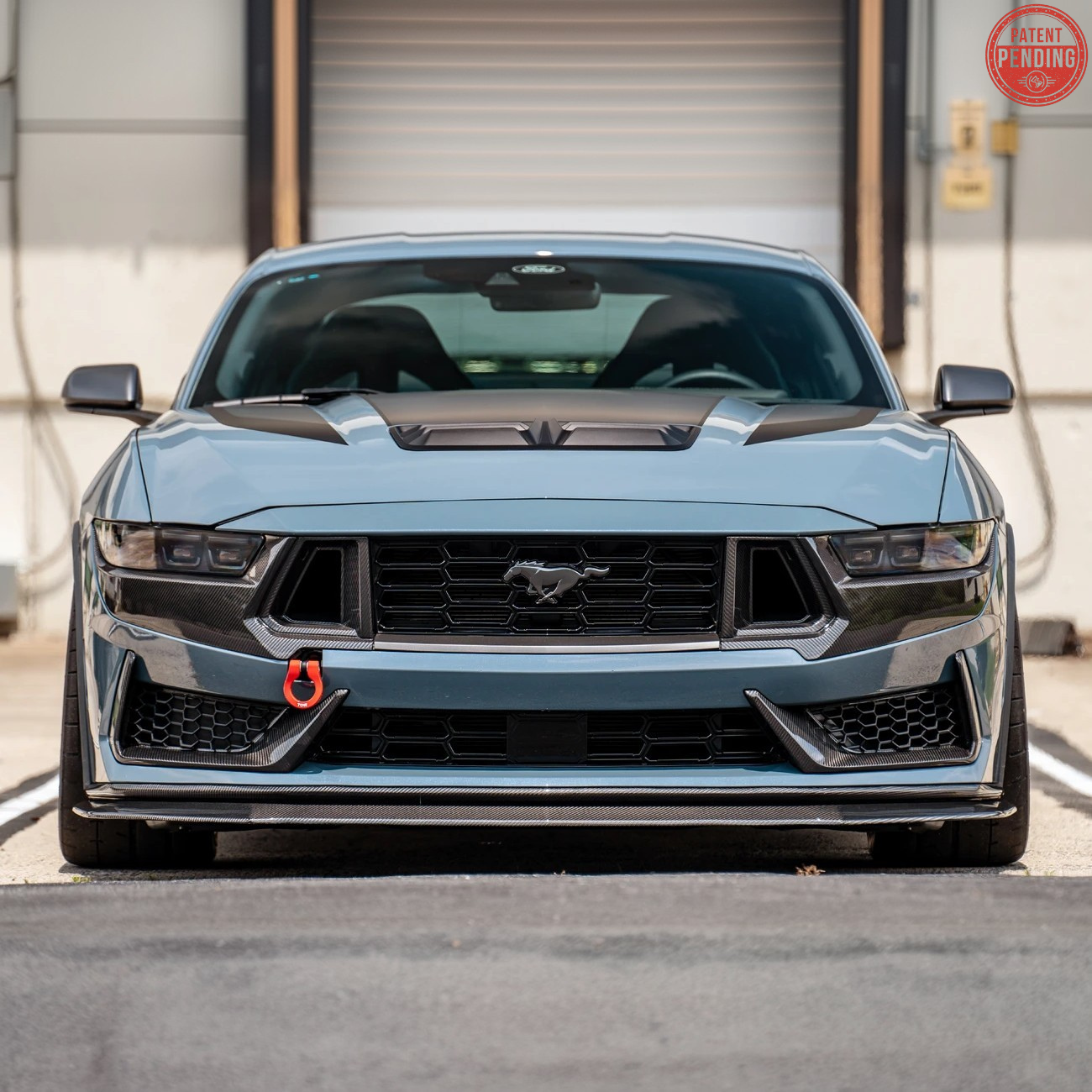 2024+ Ford Mustang Dark Horse DRY CARBON FIBER Front Grille Insert
