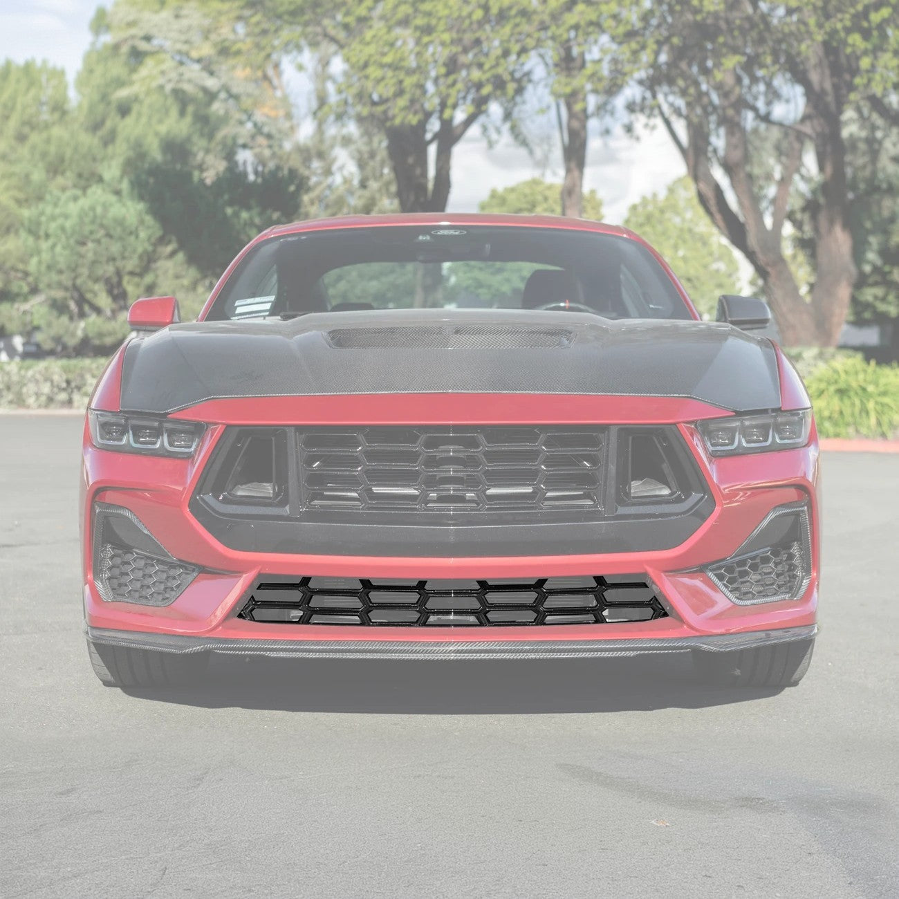 2024+ Ford Mustang Dark Horse Style Lower Front Grille Insert-Grocery Getter Performance