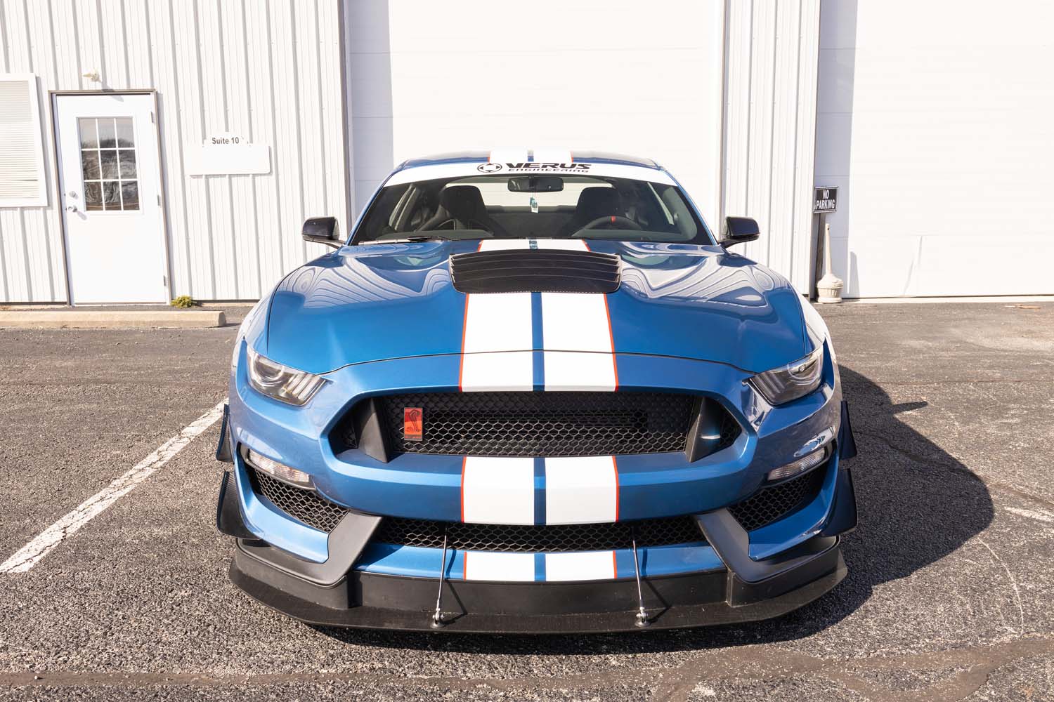 Carbon Hood Louver Kit - Ford GT350 (BLEM)