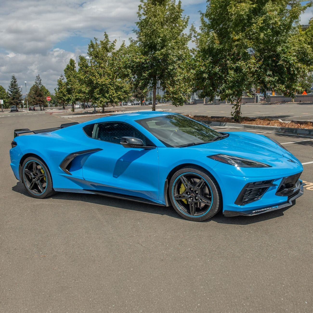 Corvette C8 Carbon Fiber Replacement Side Door Handles