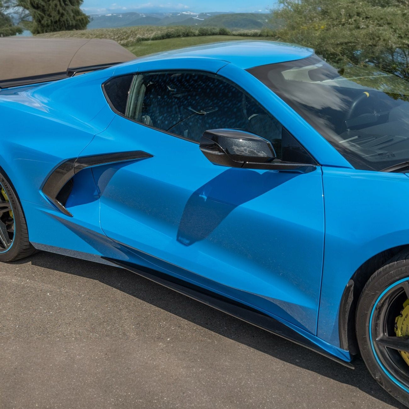 Corvette C8 Carbon Fiber Replacement Side Door Handles