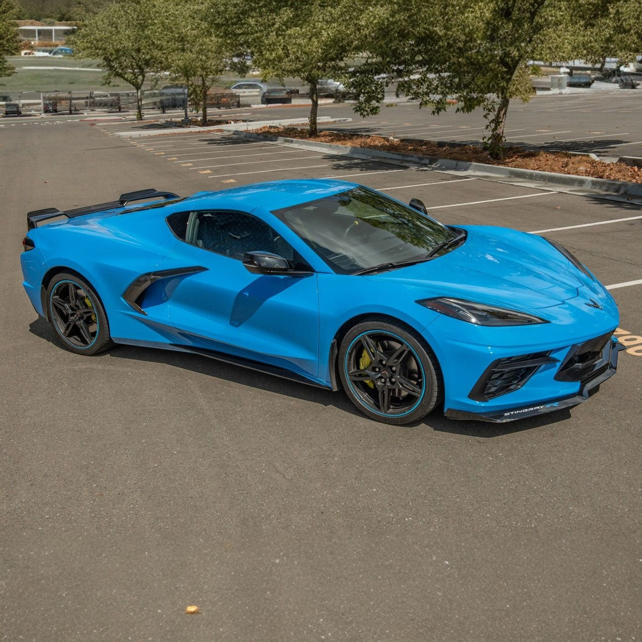 Corvette C8 Carbon Fiber Replacement Side Door Handles