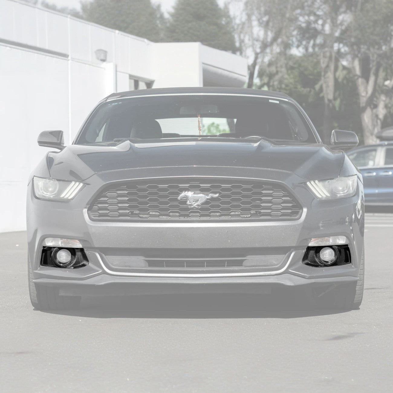 2015-17 Ford Mustang DRY CABON FIBER Front Bumper Fog Light Bezel Cover Pair