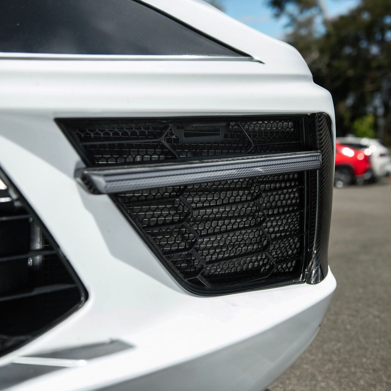 Corvette C8 Front Bumper Lower Air Inlet Mesh Grille Guards