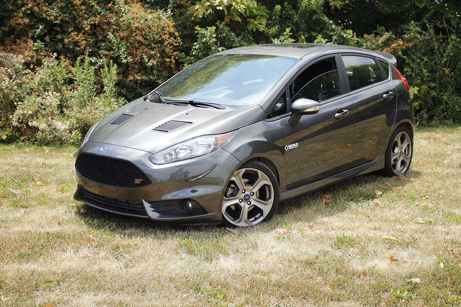 Hood Louver Kit - Fiesta ST (MK7)