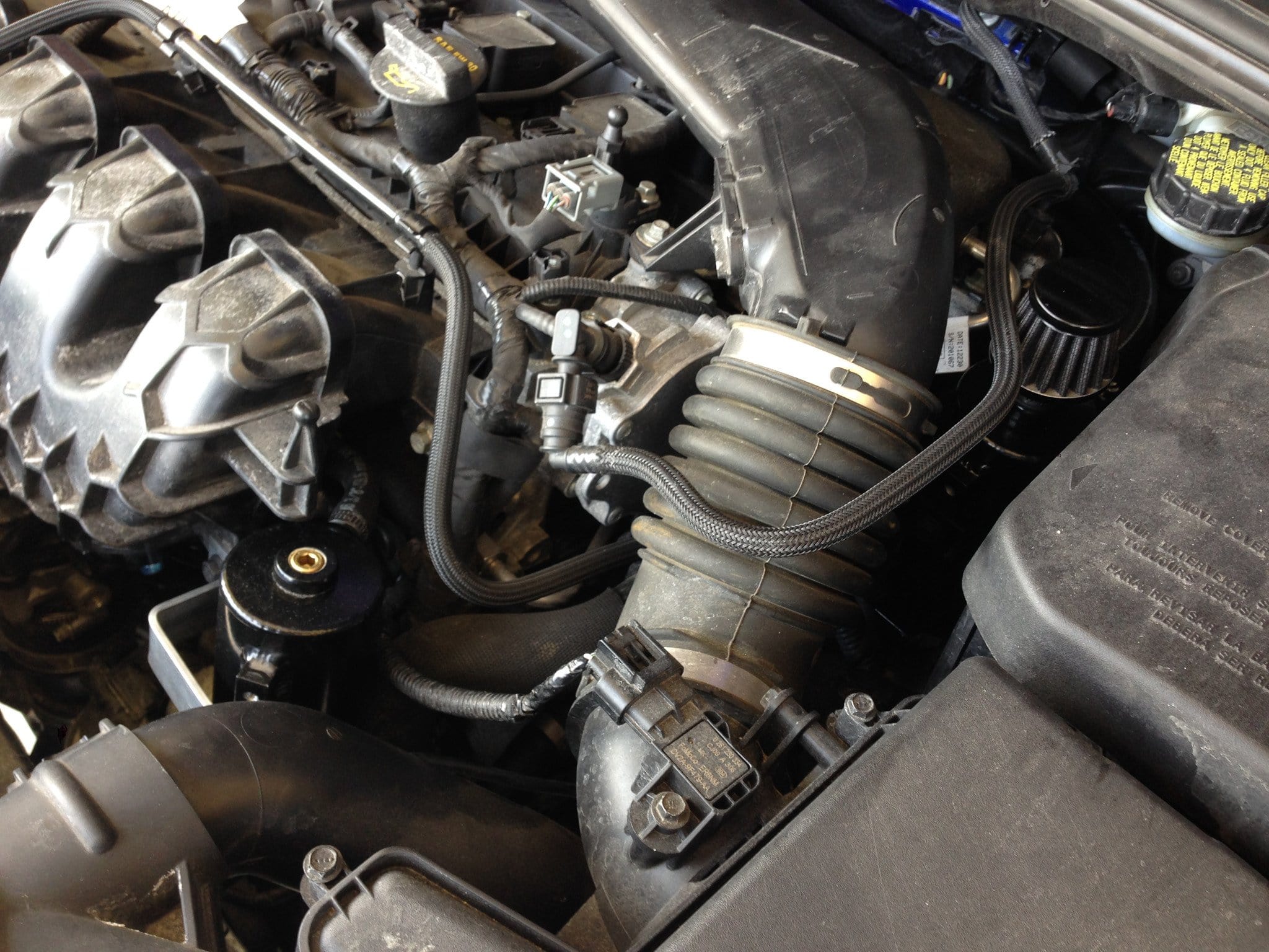 Focus ST Dual Oil Catch Can kit Stage 3