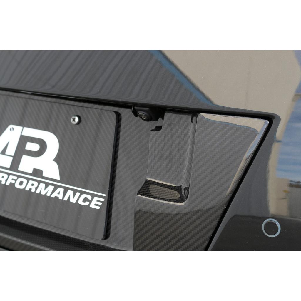 Carbon Fiber Nissan GTR R35 License Plate Backing 2017-2022-License plate backing-Grocery Getter Performance