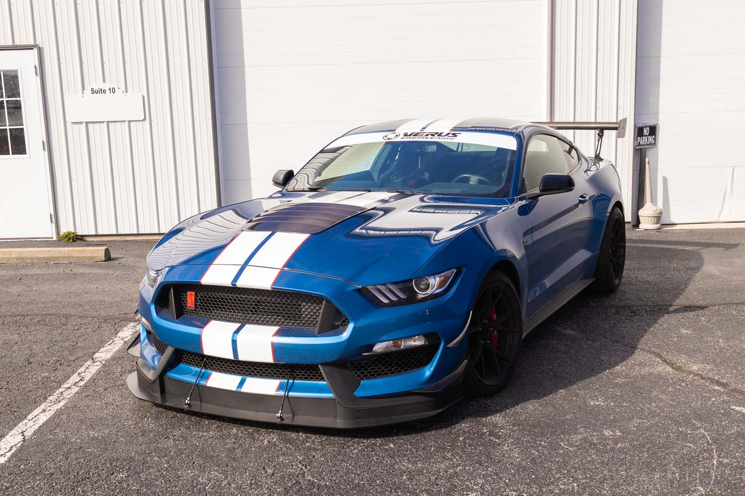 Carbon Hood Louver Kit - Ford GT350 (BLEM)