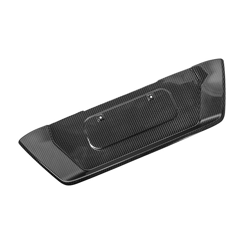 Corvette C8 Z06 DRY CARBON FIBER License Plate Backing