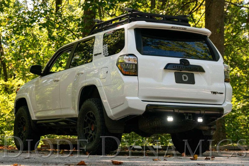 Diode Dynamics 10-21 Toyota 4Runner Stage Series Reverse Light Kit C2 Pro-Light Accessories and Wiring-Grocery Getter Performance