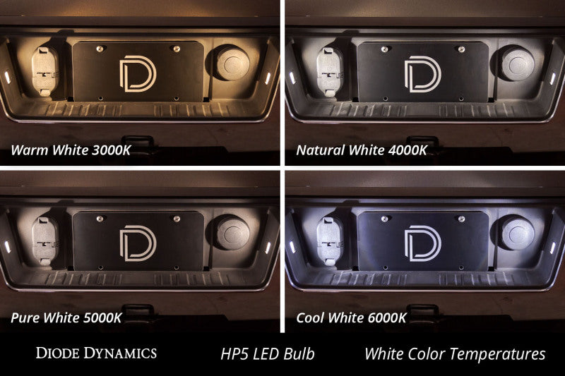 Diode Dynamics 194 LED Bulb HP5 LED Pure - White Short (Pair)-Bulbs-Grocery Getter Performance