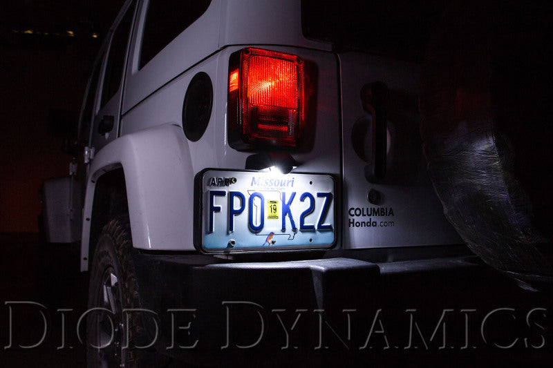 Diode Dynamics 194 LED Bulb SMD2 LED Warm - White (Single)-Bulbs-Grocery Getter Performance