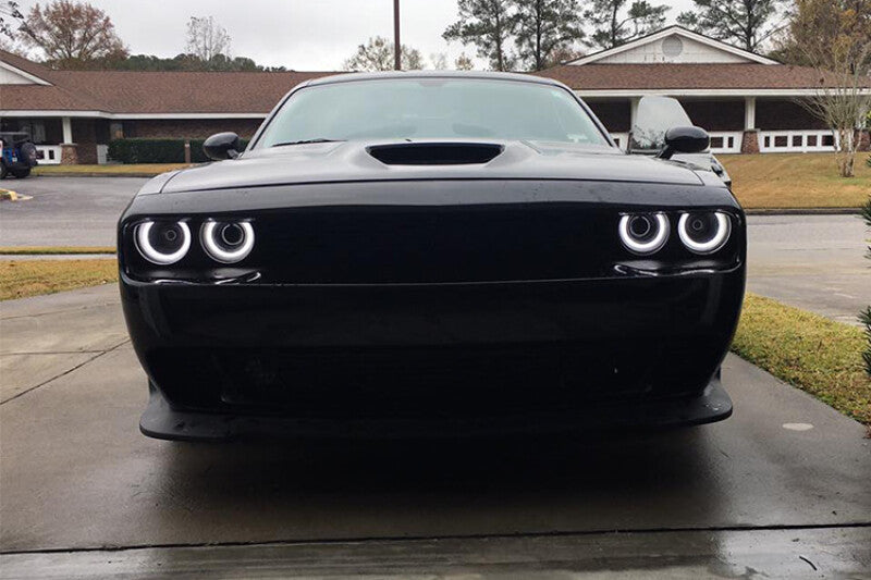 Diode Dynamics Halo Lights LED 120mm - Red Four-Bulbs-Grocery Getter Performance