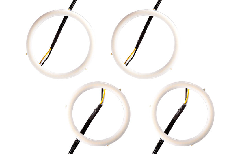 Diode Dynamics Halo Lights LED 70mm/90mm - Red Four-Bulbs-Grocery Getter Performance
