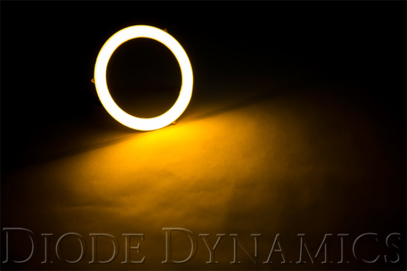 Diode Dynamics Halo Lights LED 70mm/90mm Switchback Four-Bulbs-Grocery Getter Performance