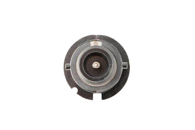 Diode Dynamics HID Bulb D2S 8000K (Pair)-Bulbs-Grocery Getter Performance