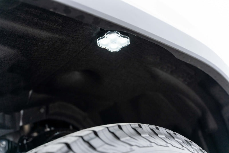 Diode Dynamics Stage Series RGBW LED Rock Light Kit (8-pack)-Light Bars & Cubes-Grocery Getter Performance