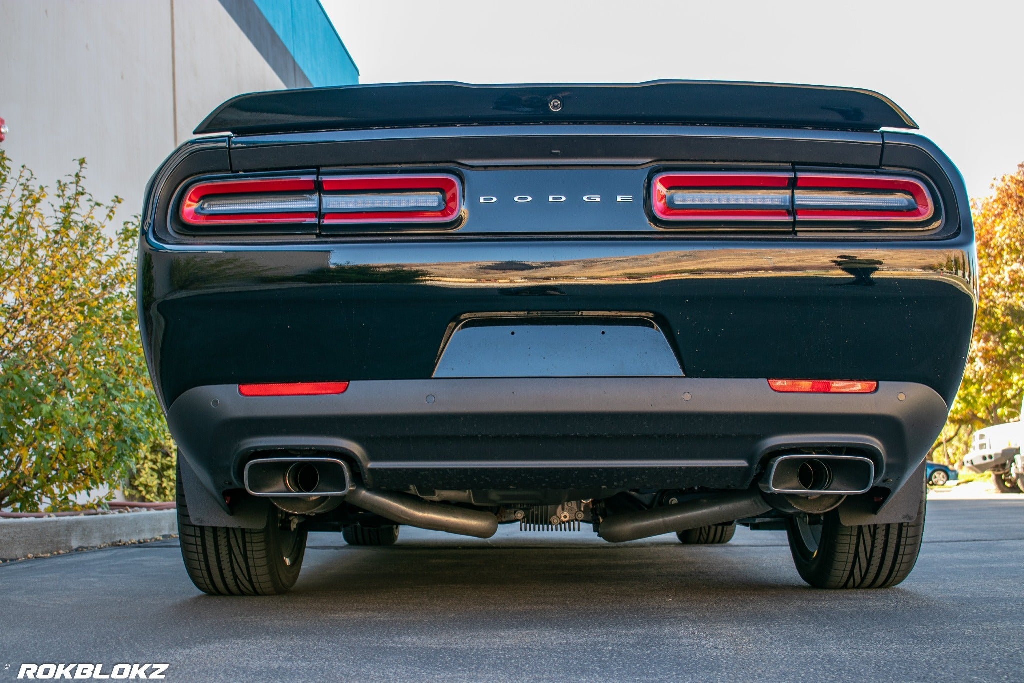 Dodge Challenger 2015-2023 Splash Guards