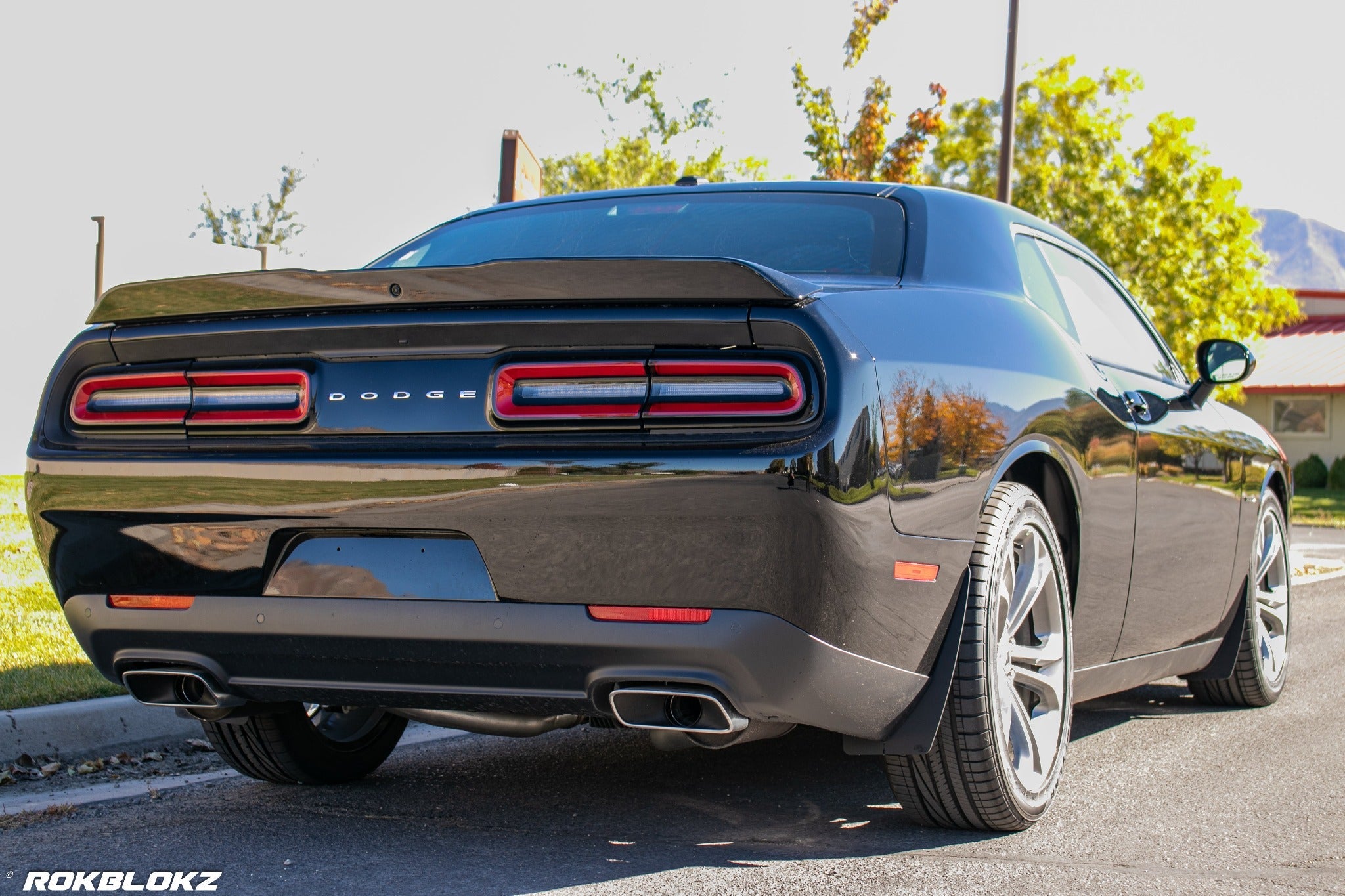 Dodge Challenger 2015-2023 Splash Guards