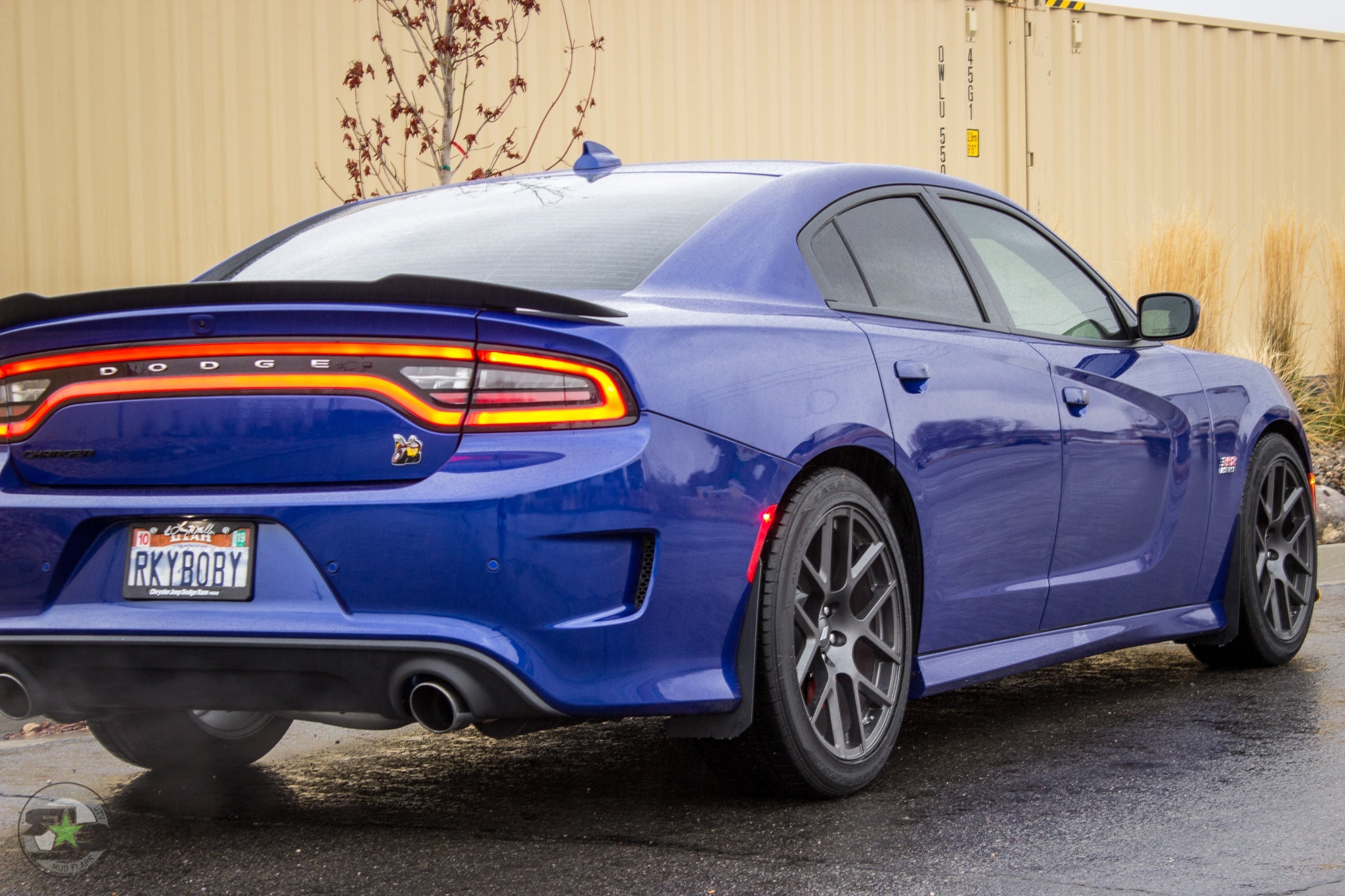 Dodge Charger(LD) 2011-2020 Splash Guards
