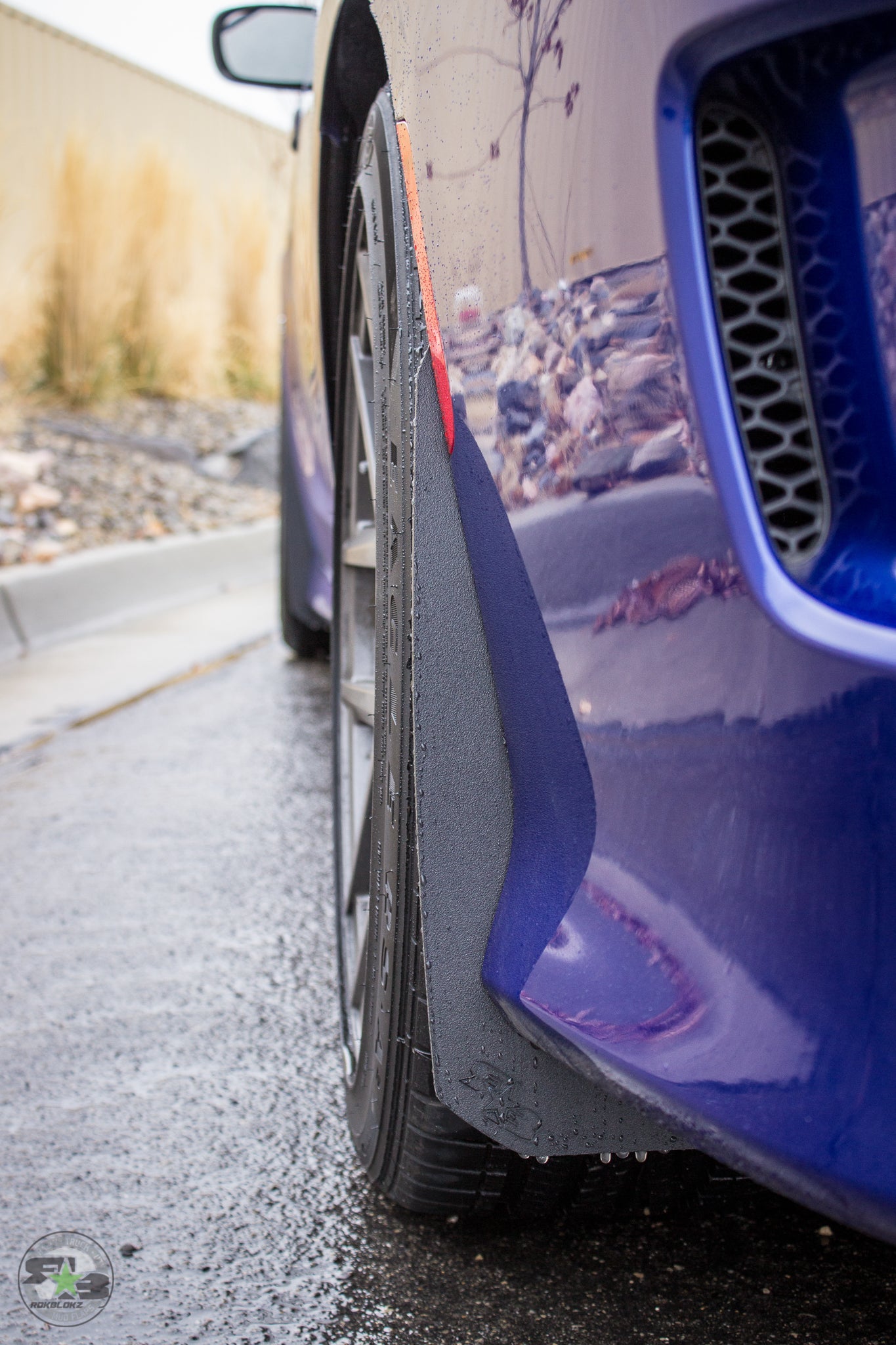 Dodge Charger(LD) 2011-2020 Splash Guards