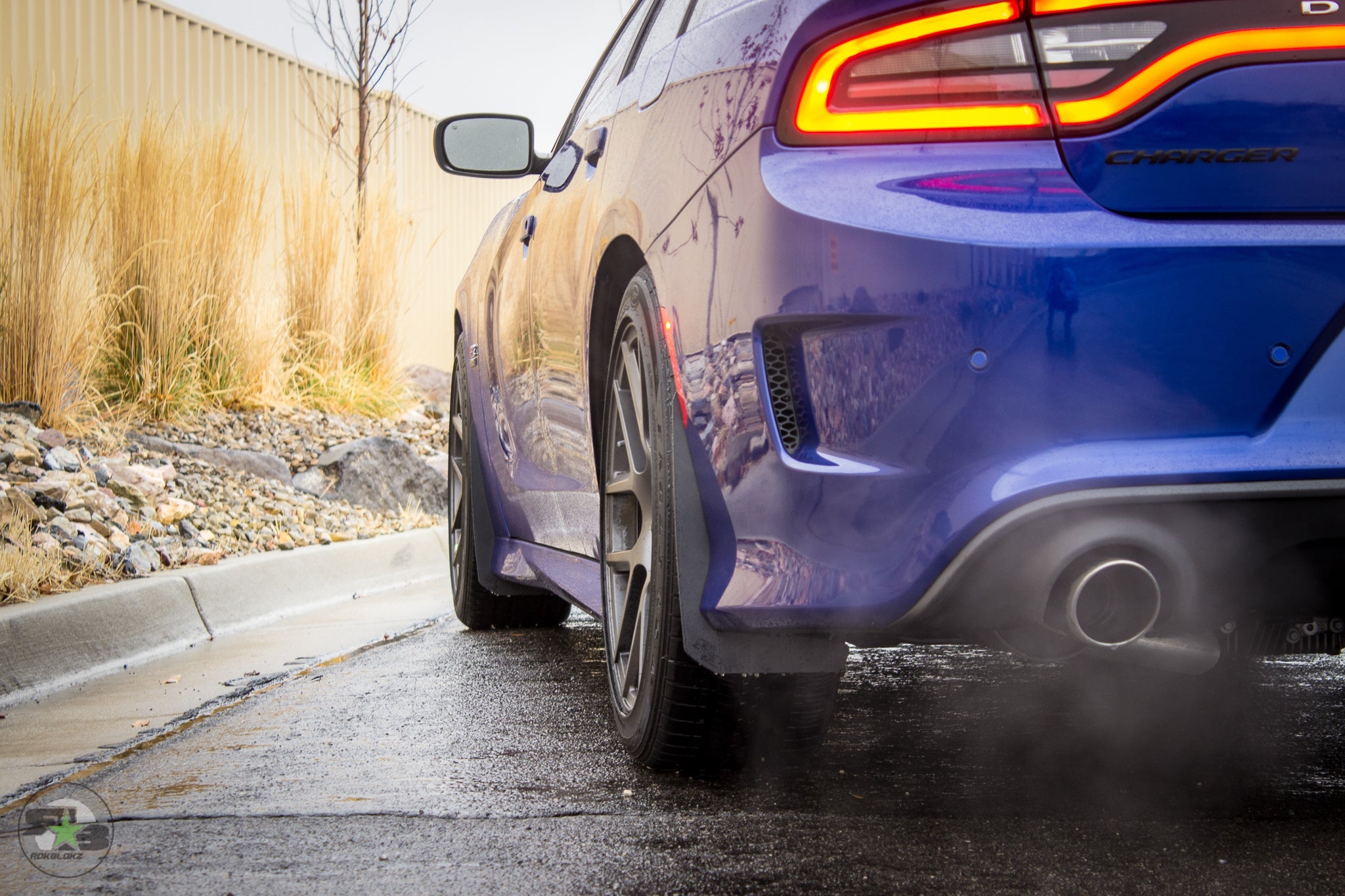 Dodge Charger(LD) 2011-2020 Splash Guards
