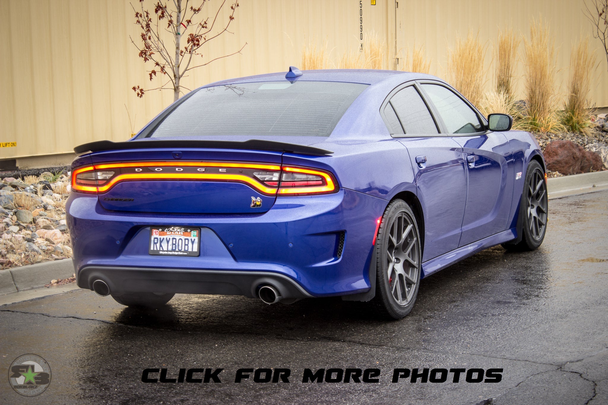 Dodge Charger(LD) 2011-2020 Splash Guards