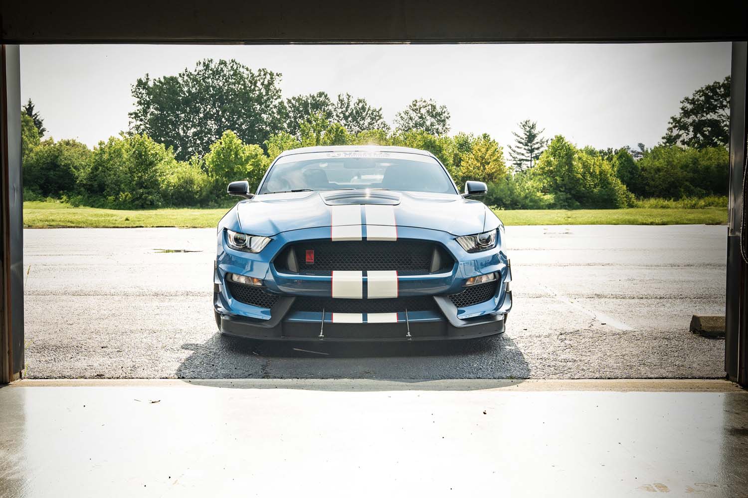Dual-Element Dive Plane (Canard) Kit - Ford Mustang Shelby GT350