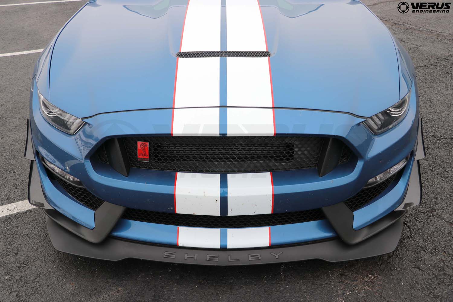Dual-Element Dive Plane (Canard) Kit - Ford Mustang Shelby GT350