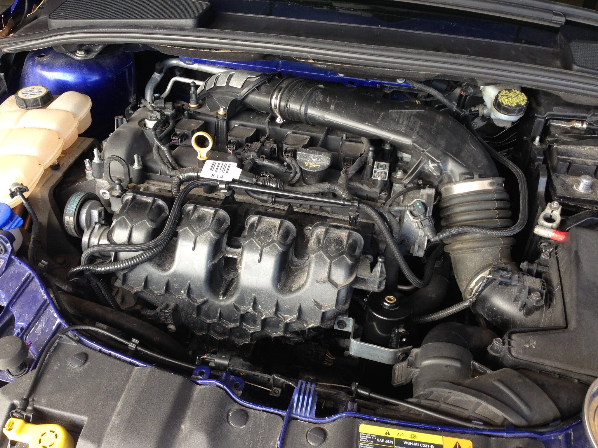 Focus ST Oil Catch Can kit Stage 1-Focus ST-Grocery Getter Performance
