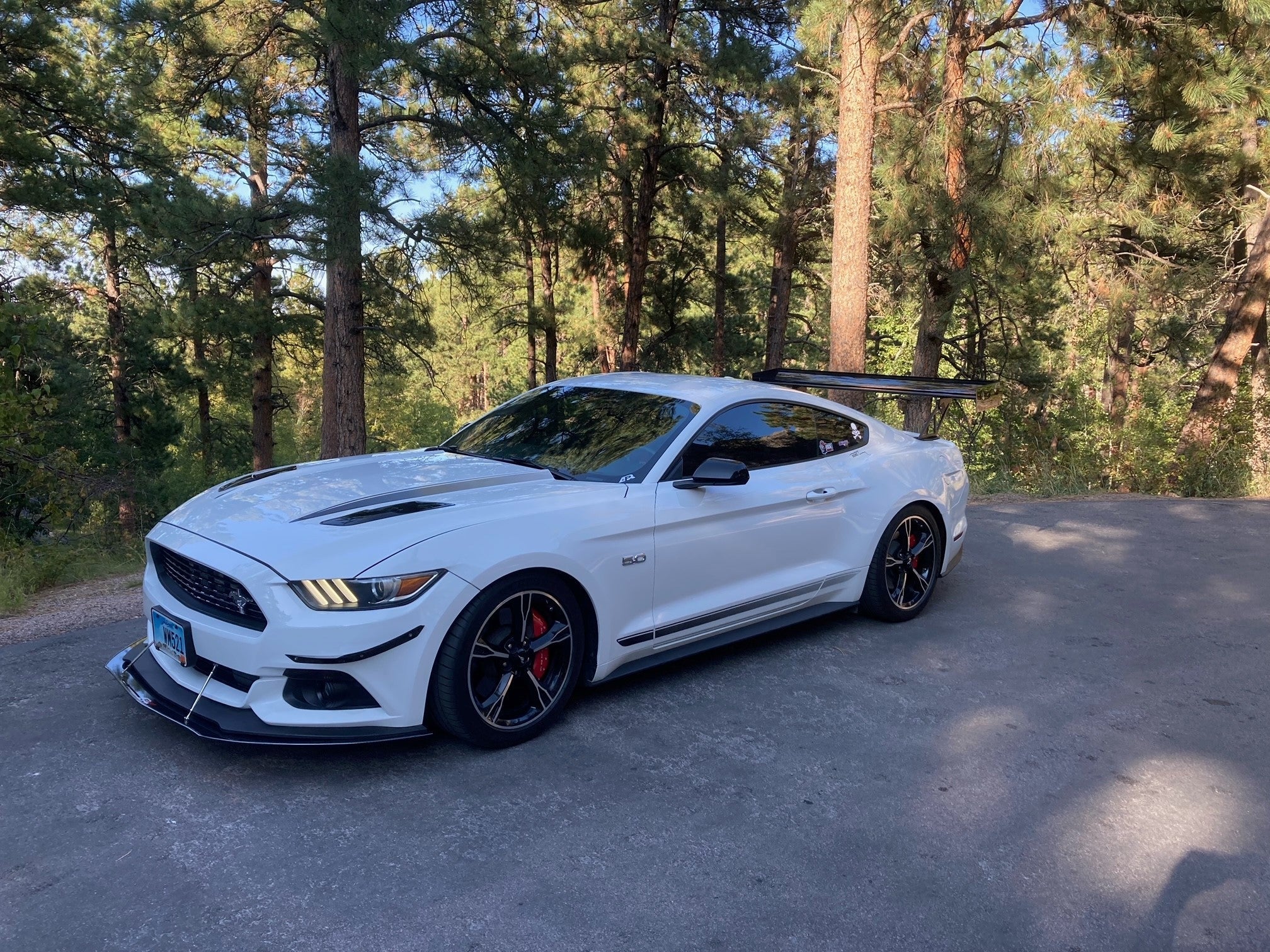Ford Mustang Shelby GT350 GT500 S550 GT250 Carbon Fiber Adjustable Wing 2015-2017-GT-250 Wing-Grocery Getter Performance
