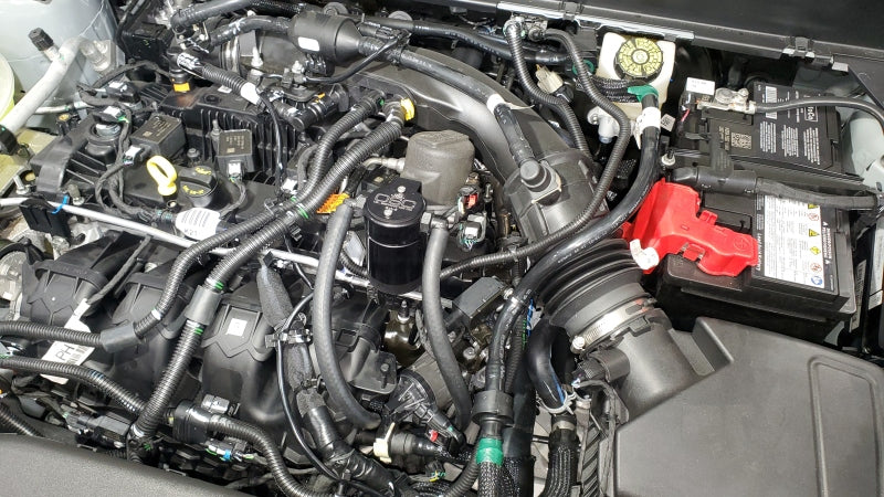 J&L 19-24 Ford/Lincoln SUV & Trucks w 2.0 EcoBoost Driver Side Oil Separator 3.0 - Black Ano-Oil Separators-Grocery Getter Performance