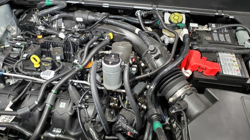 J&L 19-24 Ford/Lincoln SUVs & Trucks w 2.0 EcoBoost Driver Side Oil Separator 3.0 - Clear An-Oil Separators-Grocery Getter Performance