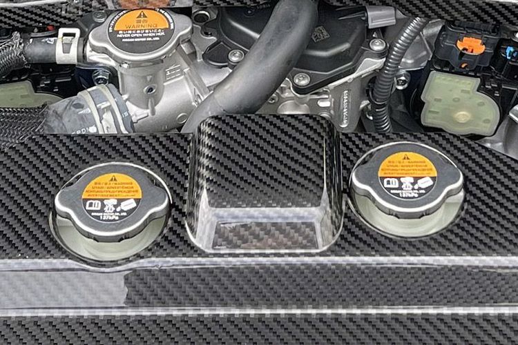 CARBON RADIATOR COVER for Z