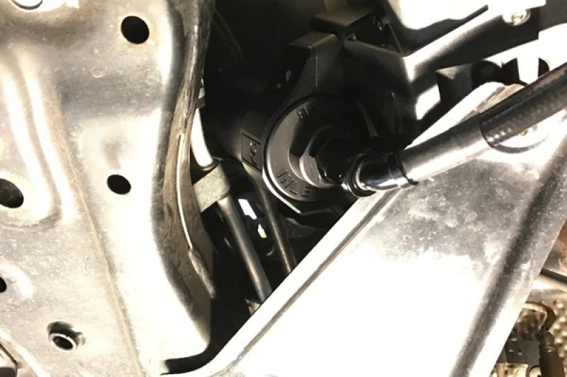 Radium Engineering Fuel Filter Mount and Filter Clamp EVO X-Brackets-Grocery Getter Performance