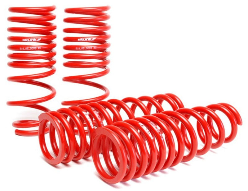 Skunk2 92-95 Honda Civic/Del Sol Lowering Springs (2.50in - 2.25in.) (Set of 4)-Lowering Springs-Grocery Getter Performance