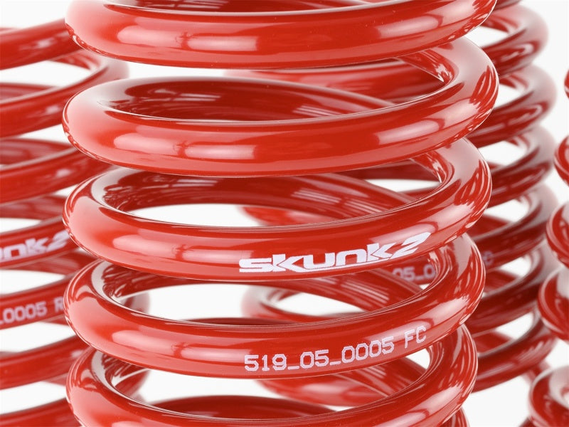 Skunk2 92-95 Honda Civic/Del Sol Lowering Springs (2.50in - 2.25in.) (Set of 4)-Lowering Springs-Grocery Getter Performance