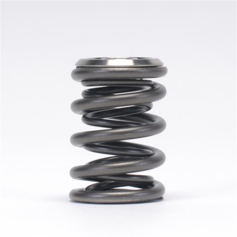 Skunk2 Alpha Series Honda/Acura B Series Valve Spring and Titanium Retainer Kit-Valve Springs, Retainers-Grocery Getter Performance