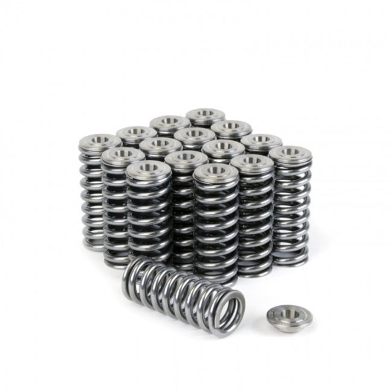 Skunk2 Alpha Series Honda/Acura D Series Valve Spring and Titanium Retainer Kit-Valve Springs, Retainers-Grocery Getter Performance