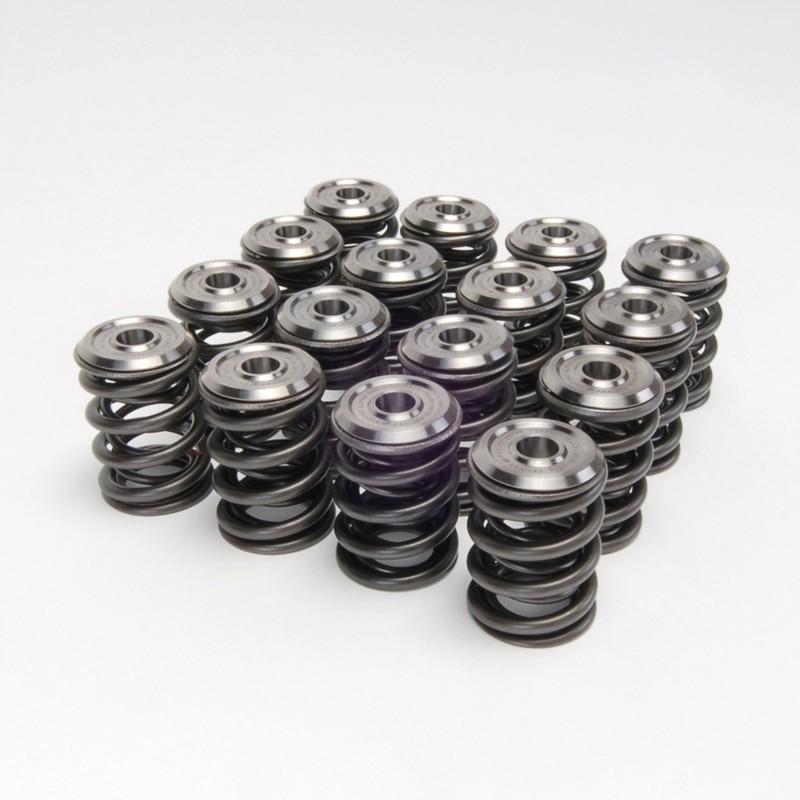 Skunk2 Alpha Series Honda/Acura D Series Valve Spring and Titanium Retainer Kit-Valve Springs, Retainers-Grocery Getter Performance