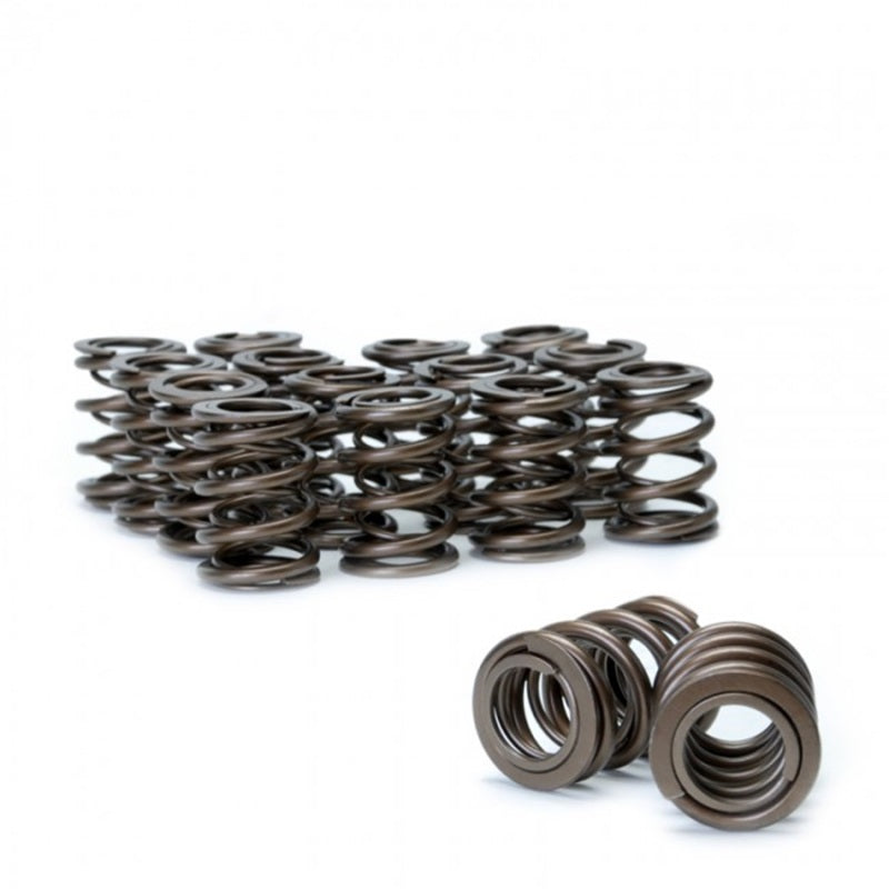 Skunk2 Tuner Series Honda/Acura (K20/K24/F20C/F22C) DOHC VTEC Alpha Valve Spring Set (Dual Springs)-Valve Springs, Retainers-Grocery Getter Performance