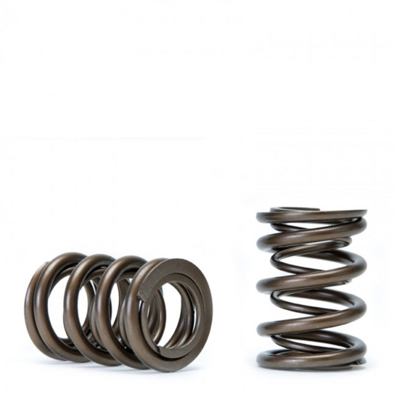 Skunk2 Tuner Series Honda/Acura (K20/K24/F20C/F22C) DOHC VTEC Alpha Valve Spring Set (Dual Springs)-Valve Springs, Retainers-Grocery Getter Performance