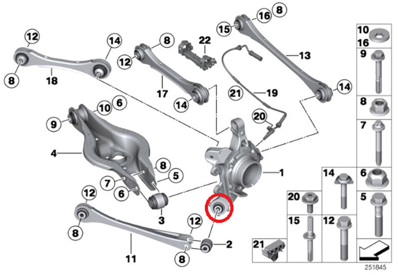 SPL Parts 2010+ BMW F2x 2 Series / 2011+ BMW F3 X 3 & 4 Series Rear Traction Arm Knuckle Bushing-Suspension Arm Bushings-Grocery Getter Performance