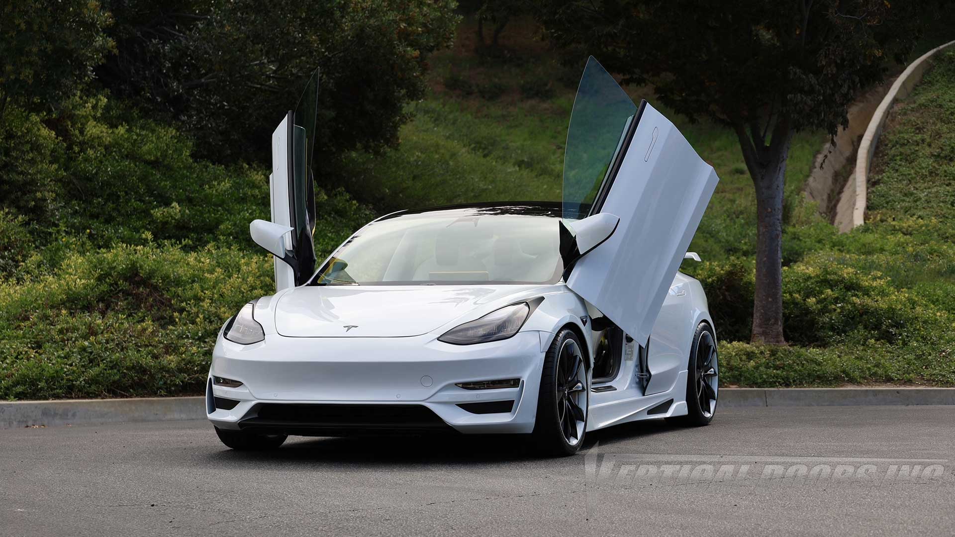 Tesla Model 3 2017-2024 Vertical Doors Kit